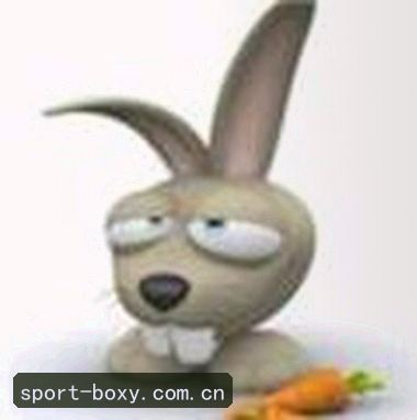 赵公子